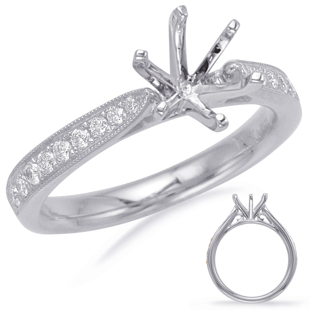 White Gold Engagement Ring