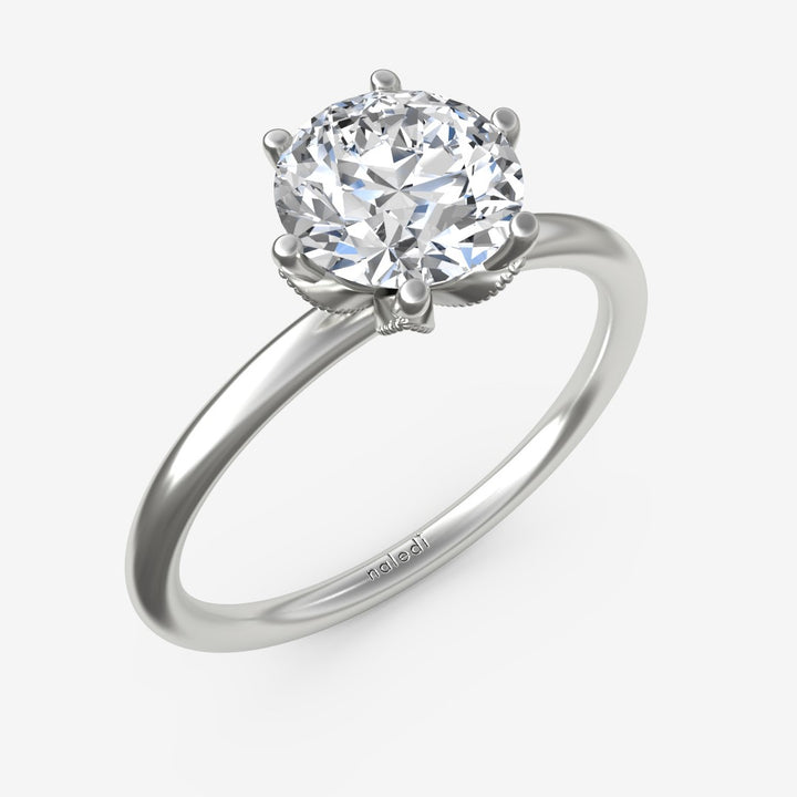 Charlotte (N0421SMA)